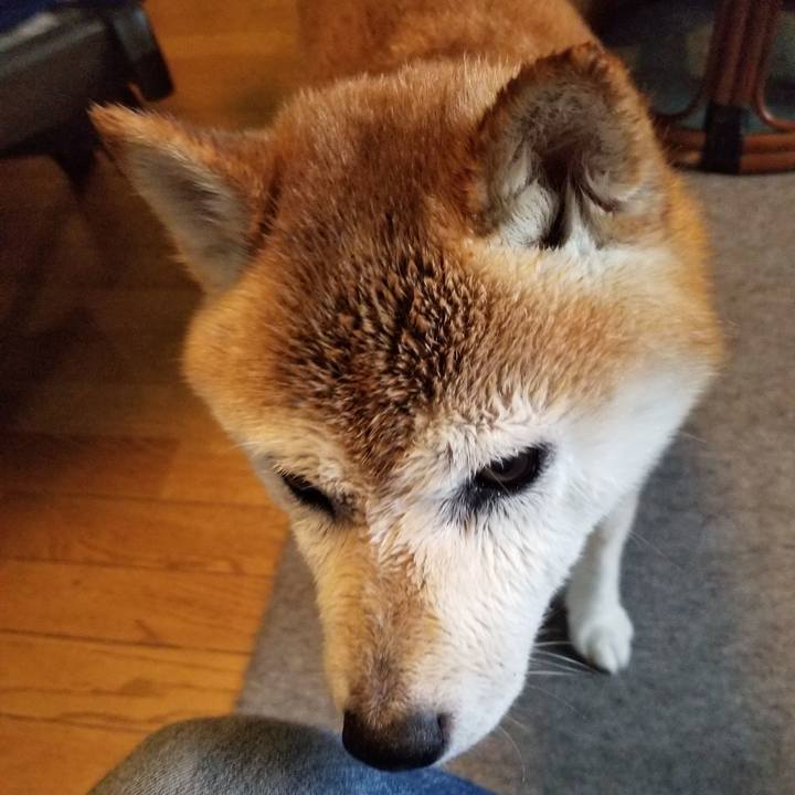 4f39faae 8f97 4917 b684 2b3b4badfb96 1692605744457