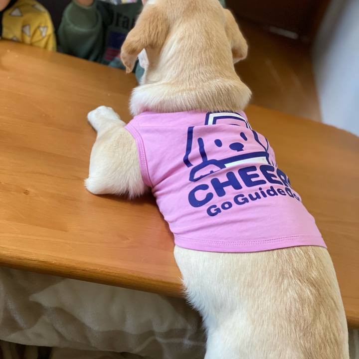 4f3a3b82 6b8e 472b 83b2 1da266d1ddc4 1615700305689