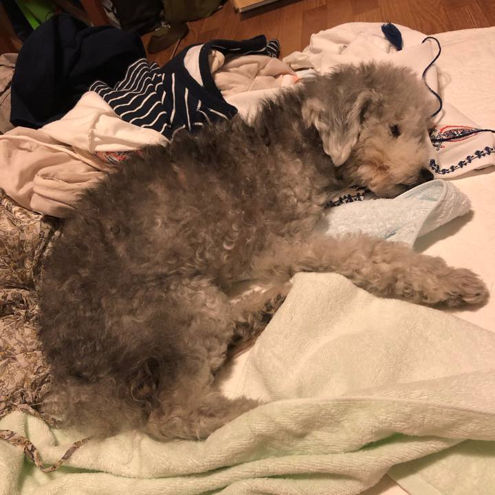 4f3ab24e add1 43b0 b4c6 810879172ae5 1564441667685