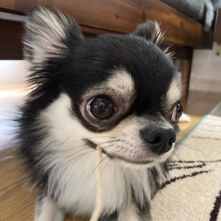 4f3acbeb 6926 403e ad6c 4be644240bf4 1622866831733