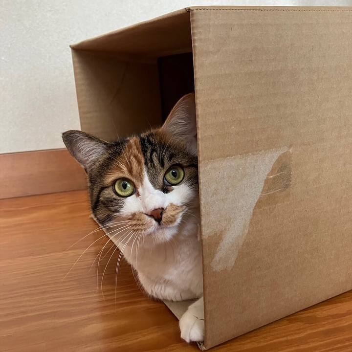 4f3ad2b0 79ba 4870 83ba 28bbe51feb9b 1695778247057