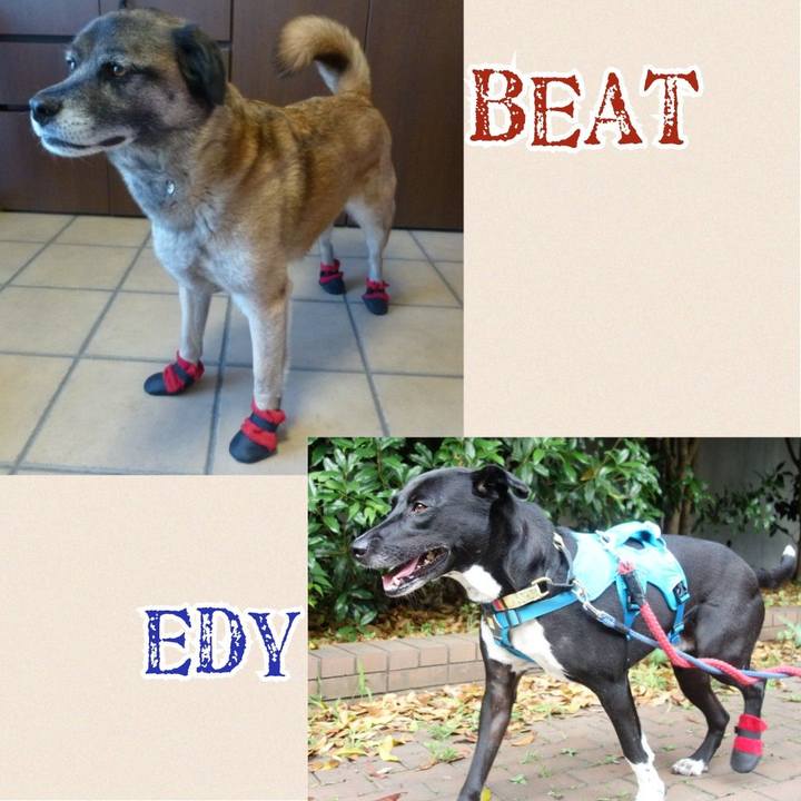 4f3b426f 6ff4 41b2 8d71 2ebc3ca71b9d 1623715961989