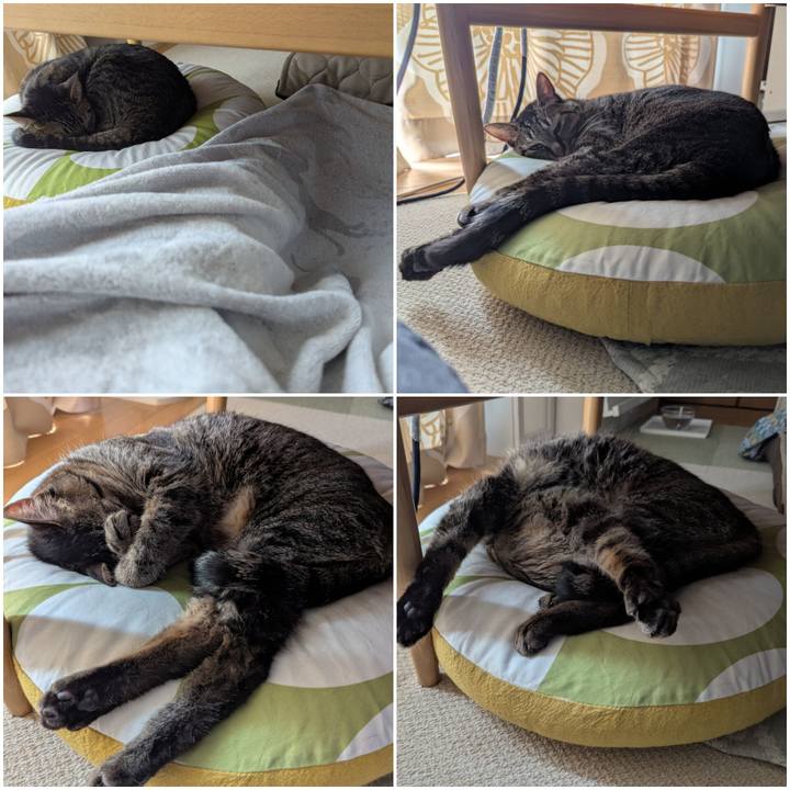 4f3b8581 a270 44c6 8bcf 06e5c5d815bc 1747121554413