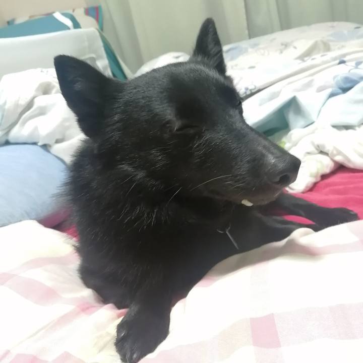 4f3b89e8 6c1a 49d8 a200 4d2afdcd6502 1645478835863