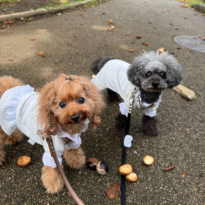 4f3b9efb 218b 4deb b8b2 d4449e5f1531 1758410715884