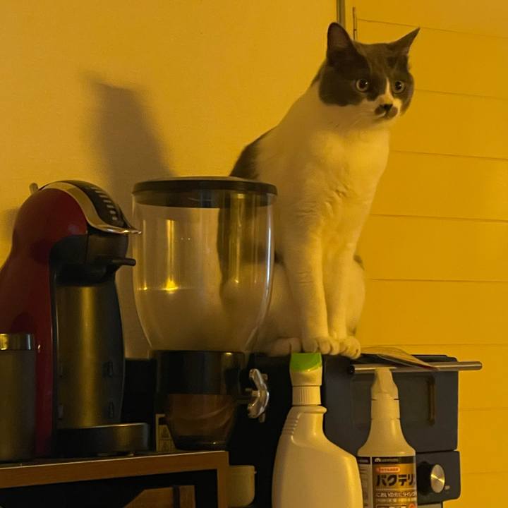 4f3bb281 b1cc 4ebf 9a91 49130819b498 1630140373366