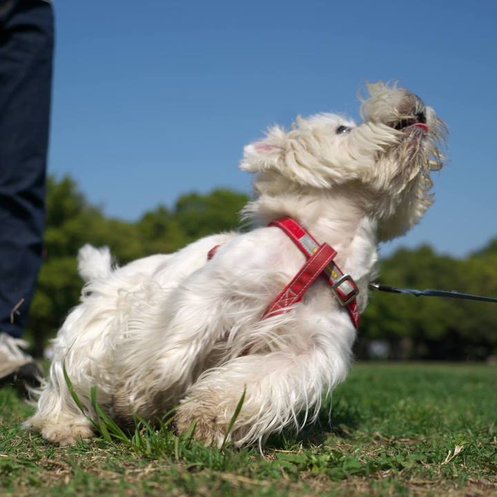 4f3bc2d5 0eb3 4909 b13f 55ee9d3ff95f 1524346782179