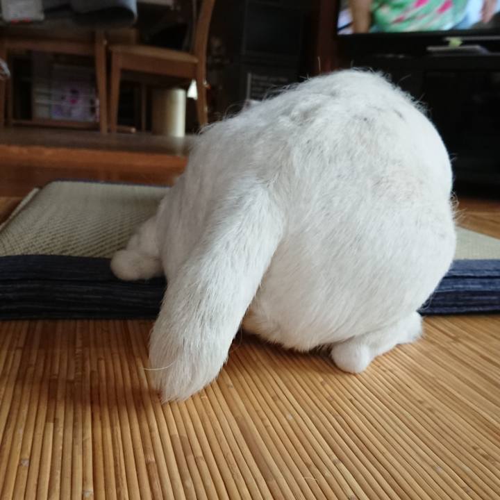 4f3bc6f4 08cd 4cf0 a4c3 71efa9307224 1528505373348