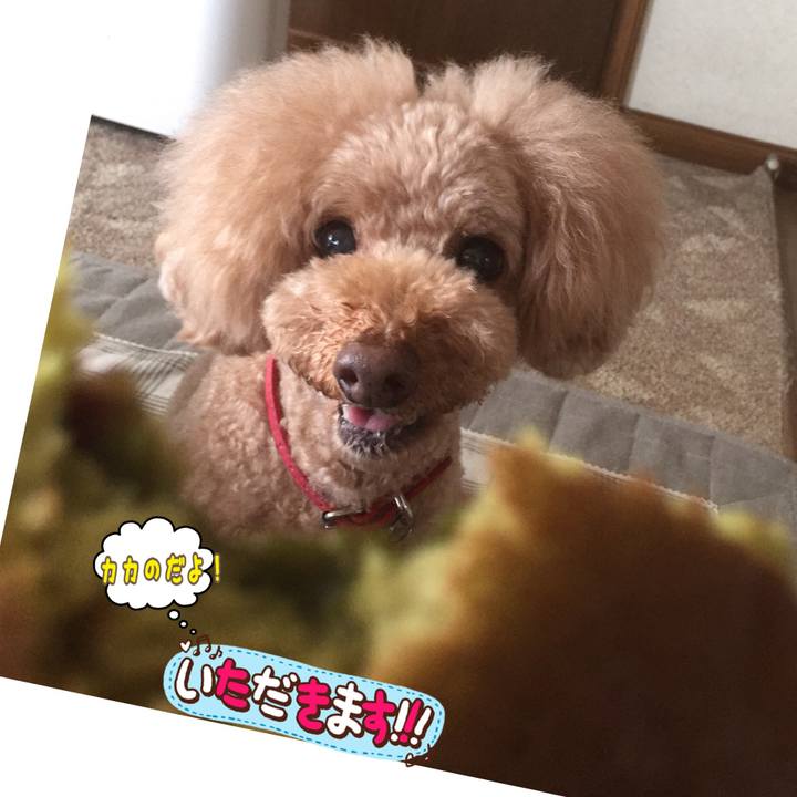 4f3bd4f8 1953 49fe a809 4879726cc230 1530341696946