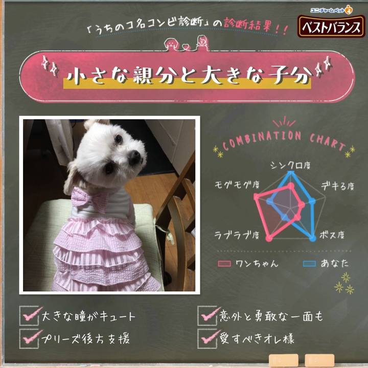 4f3bfade e873 4b71 a354 d1ec888bc81b 1558964607400