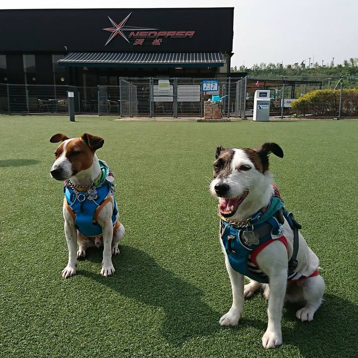 4f3c11d3 a7a2 4200 aa93 b0bee561ea24 1555891048282