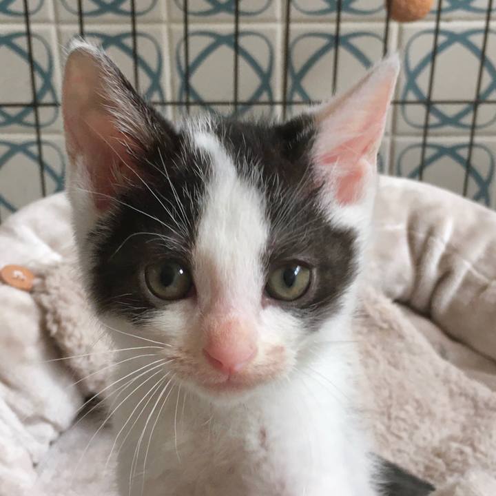 4f3c1bb0 ecd5 454c b1ab a46b8e2aa0c0 1625123816162