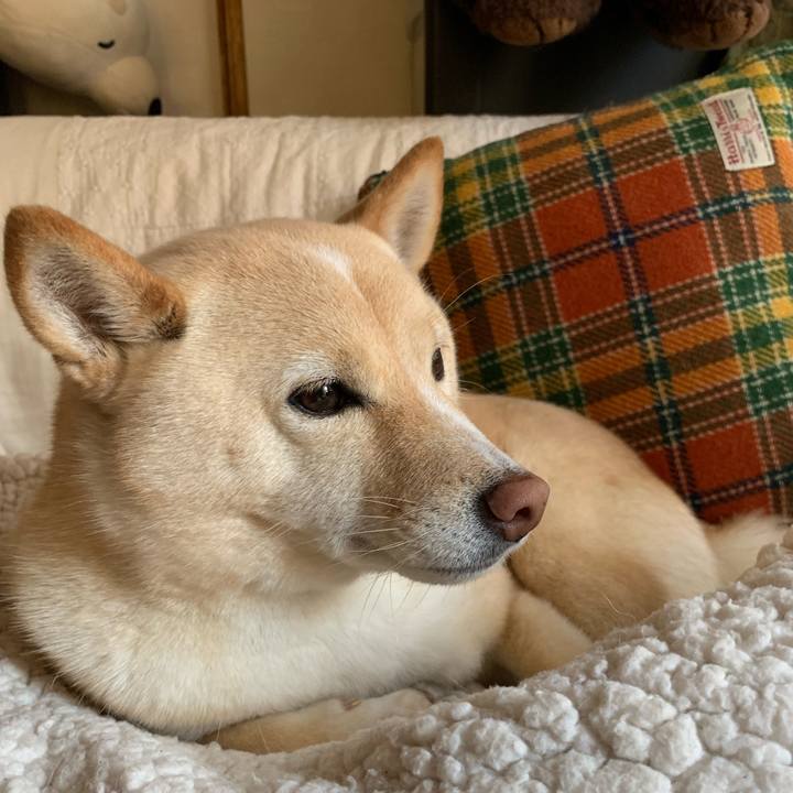 4f3c4151 6570 4f82 83be 4b893d7b58af 1641949672088