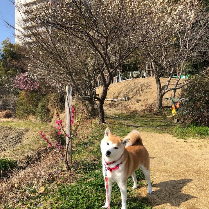 4f3c6c0d 8f16 476c 897b 251539057b8a 1646874595514