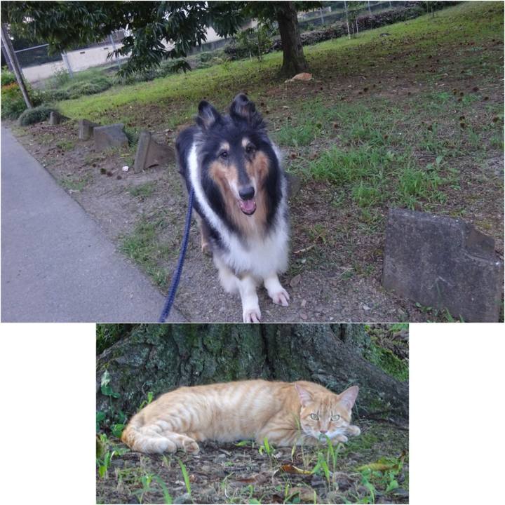 4f3c740a 6128 458a 872b ab0ee3b0a763 1596631497682