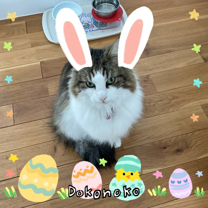 4f3c761a be3b 406e aa1e 0898882ea929 1712800810943