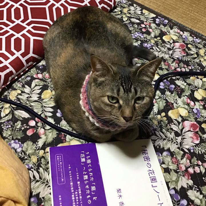 4f3ca626 150b 4bef a18f 660640ef4068 1619170610116