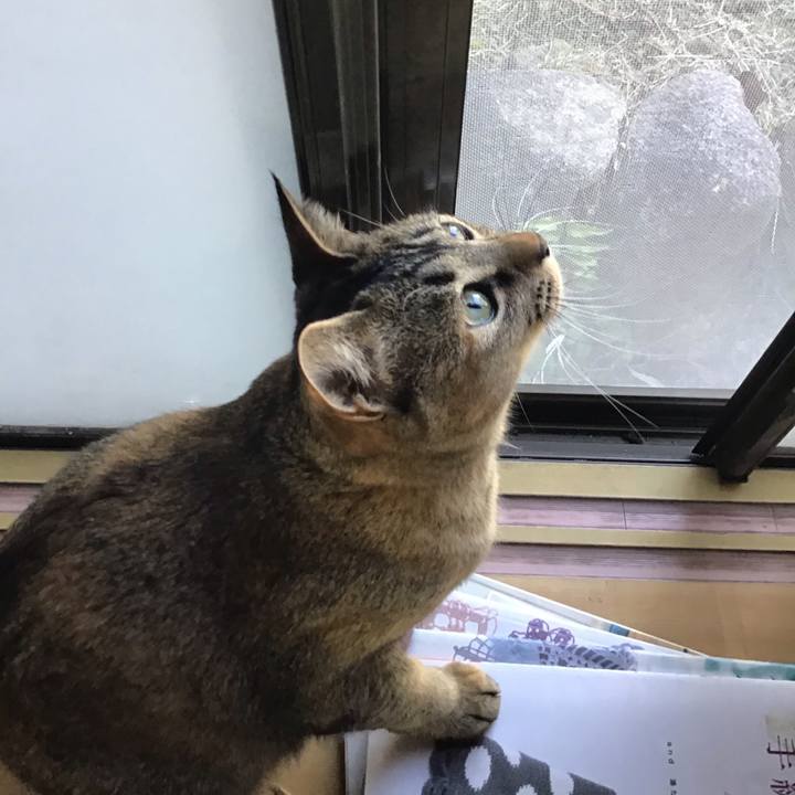 4f3cb9c0 ddaa 44cb 884b f84465edb1c9 1582451706482