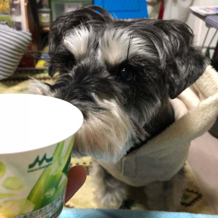 4f3cc2b3 661d 4a0a 8232 4ae86459772f 1647260337572