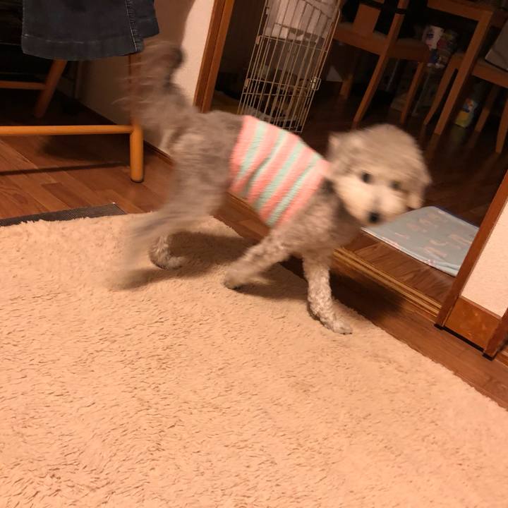 4f3ce5cc 562a 46f2 a18b 57c517096af1 1623585641796