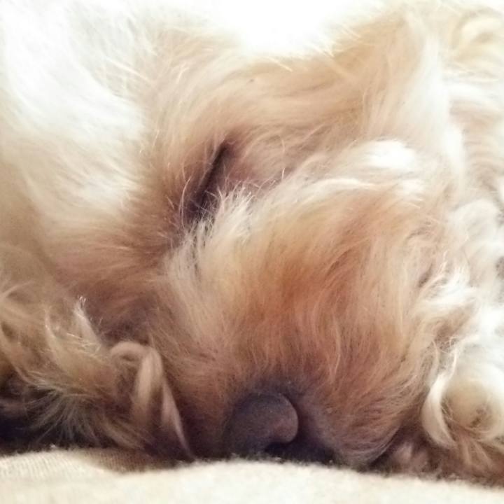 4f3ce699 91a8 43e8 b218 f9f1846038e3 1540818688951