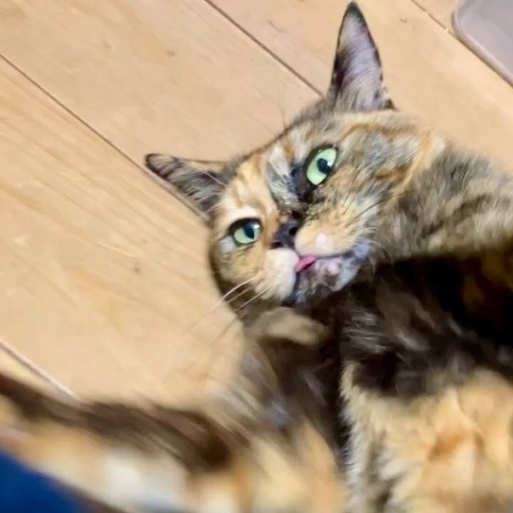 4f3cf6f3 bab8 4fe5 b842 b4180175d0ca 1733218987707