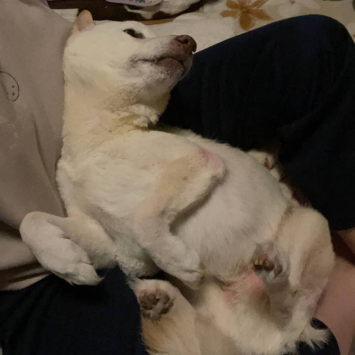 4f3d1d58 2f2d 4d35 a0d3 15e475cb7ff6 1674676175033