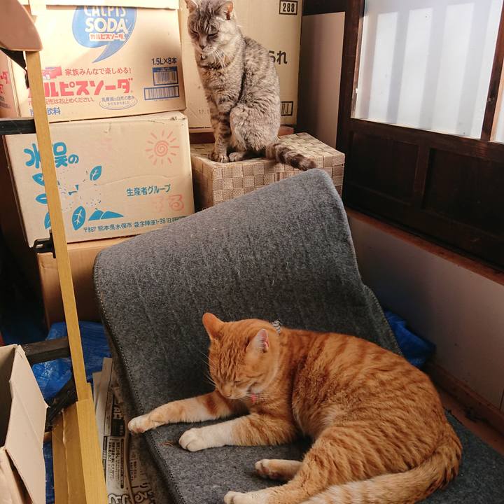 4f3d26bc 73bd 47e4 a352 4b873b149145 1573964581300