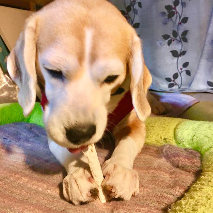 4f3d6305 d24e 46a6 8a47 0017b865f502 1768224152387