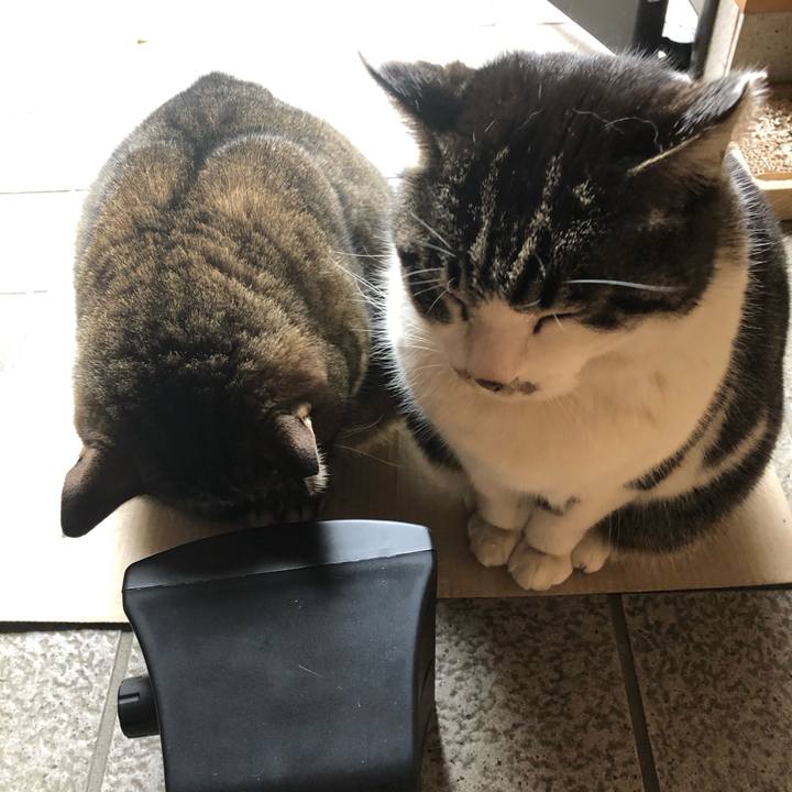 4f3d777d 258c 4580 a24c 90735dbcbd24 1585455254921