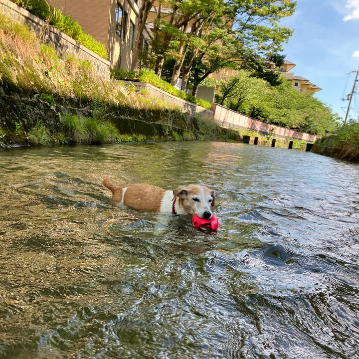 4f3df906 465e 4682 98f7 1b44c6e11cc1 1720336118294