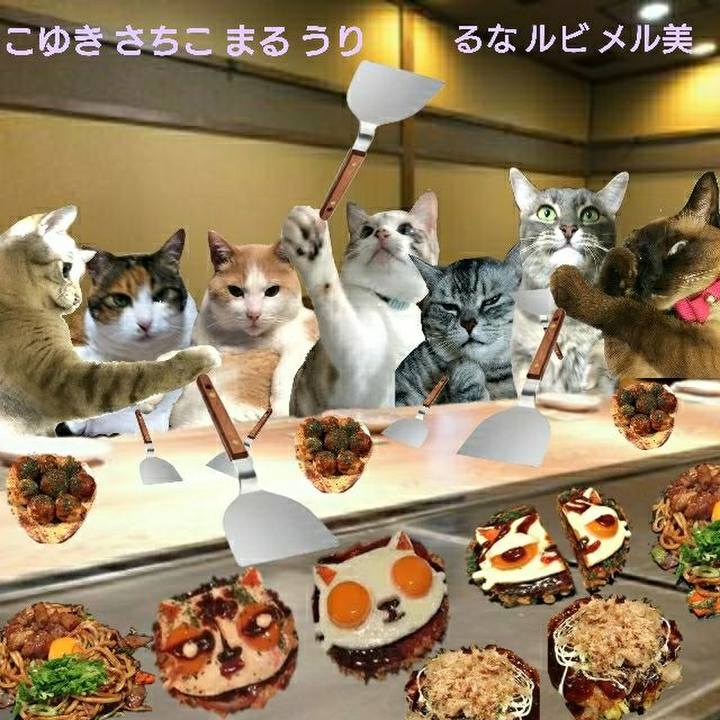 4f3e01d2 4244 4da8 976f 9fc10fc348d6 1544320777086