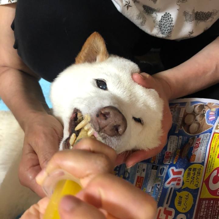 4f3e11db 86cb 4333 b979 d46d20118b53 1660556654394