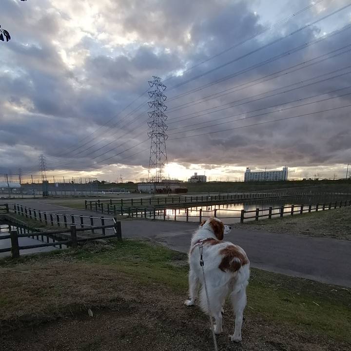 4f3e2839 f589 40f8 ba3f 89c78b9f3214 1578645004142