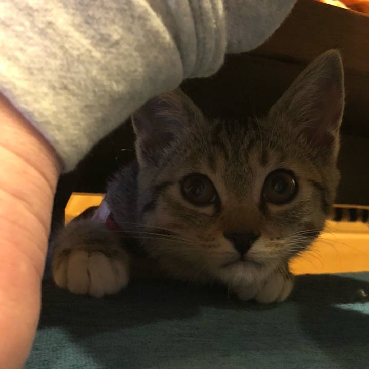 4f3e3083 9339 4ec6 9d6d 5f56c2ad8297 1546828955287