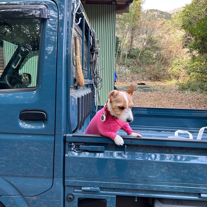 4f3e35e6 58cf 4986 9b90 57739ba87259 1771555109195