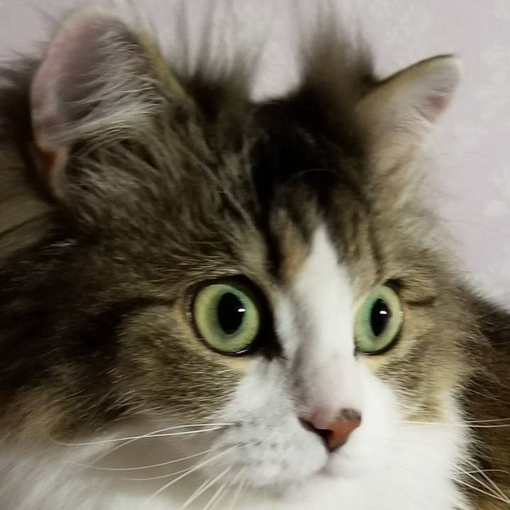 4f3e41e4 6c7a 4ebc 93cd 639cc5a9d1ca 1557520662627