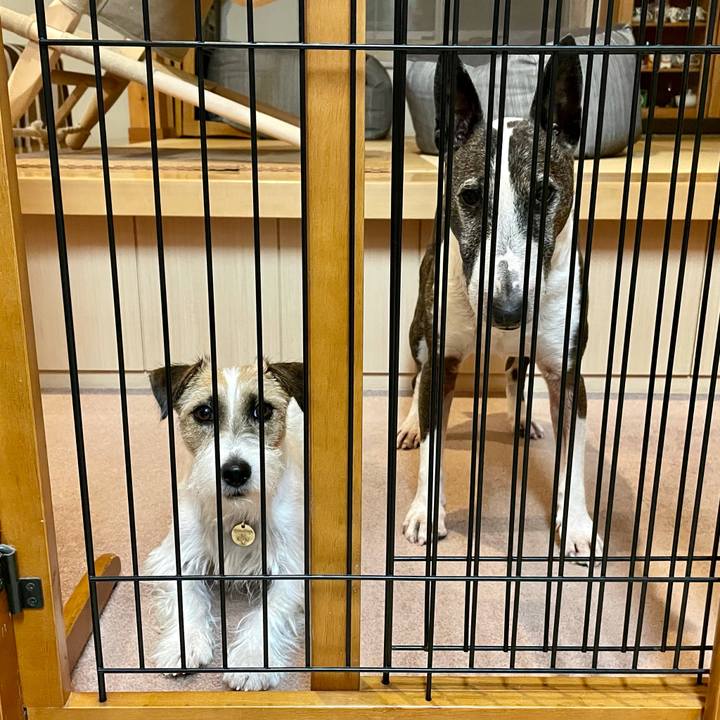 4f3e5026 5377 4d30 98c5 ae6d39ff6472 1625403512974