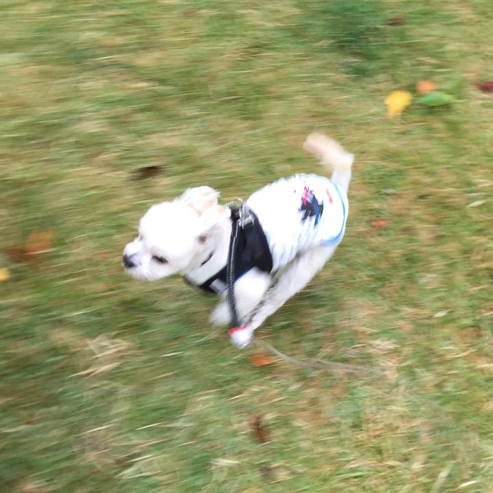 4f3e68ec fc25 40f0 9989 a76b9e6f5574 1507892986313