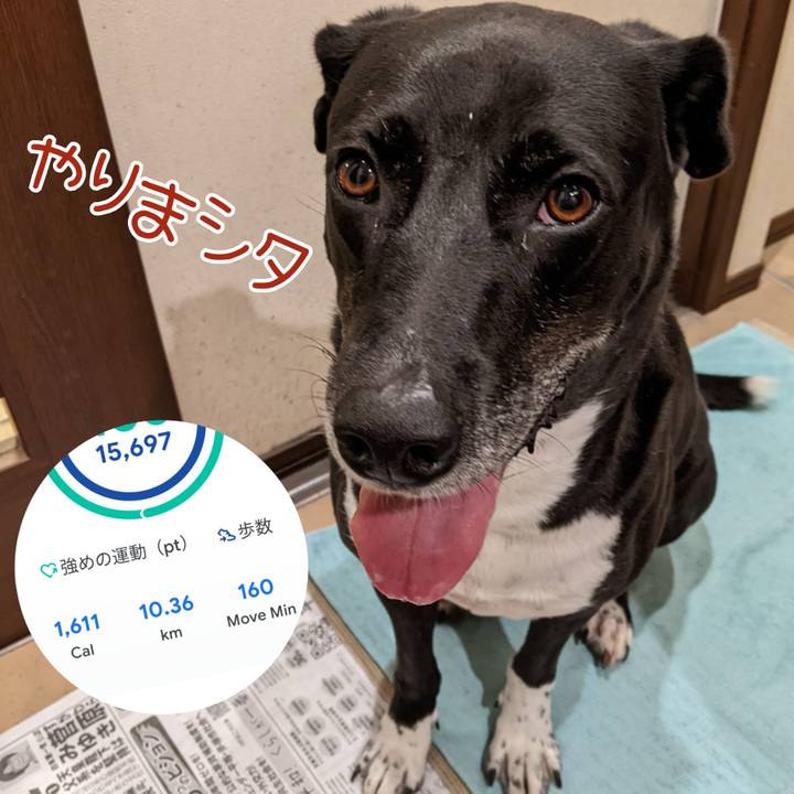 4f3e69f3 d774 4086 85f3 fca60a5980ad 1664794510595