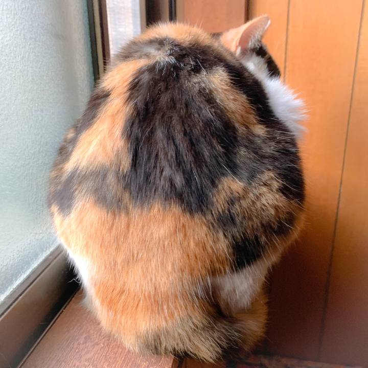 4f3ea2dc ee65 4354 85b8 a18f975b2a26 1560130408679