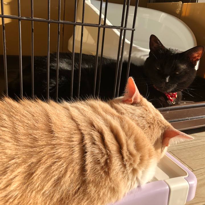 4f3eb392 4330 4066 b9f9 076eb16e45be 1615676889210