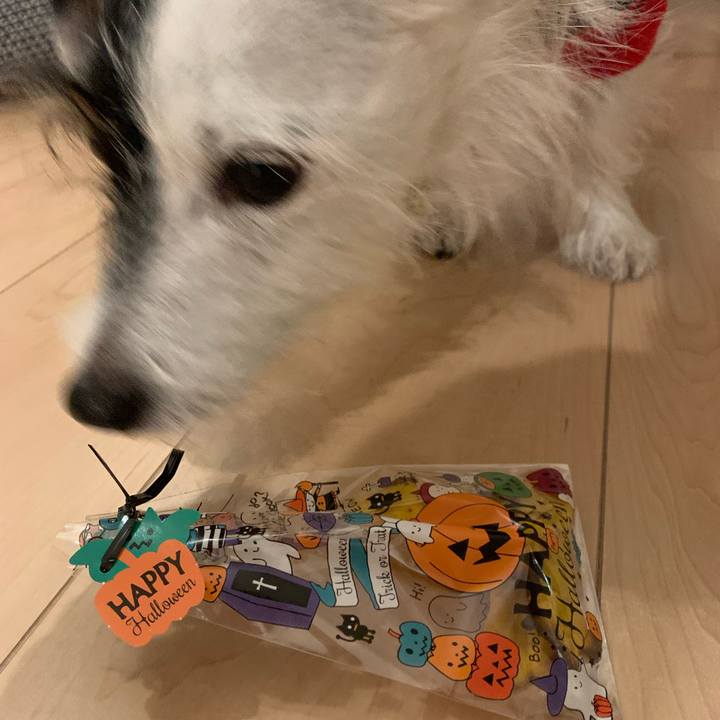 4f3ede17 c89c 4693 8f3a b4c1a0a16c7b 1667041900030