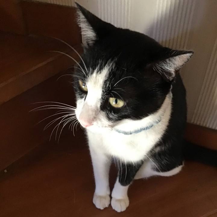 4f3eeec7 f6e8 4572 bac0 f07f87fecc21 1660820392548