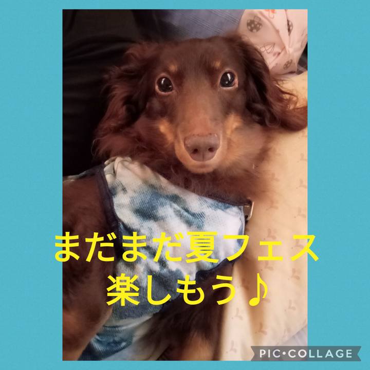 4f3f2d04 b523 4848 af38 cd4d7d1d73b8 1755319694355