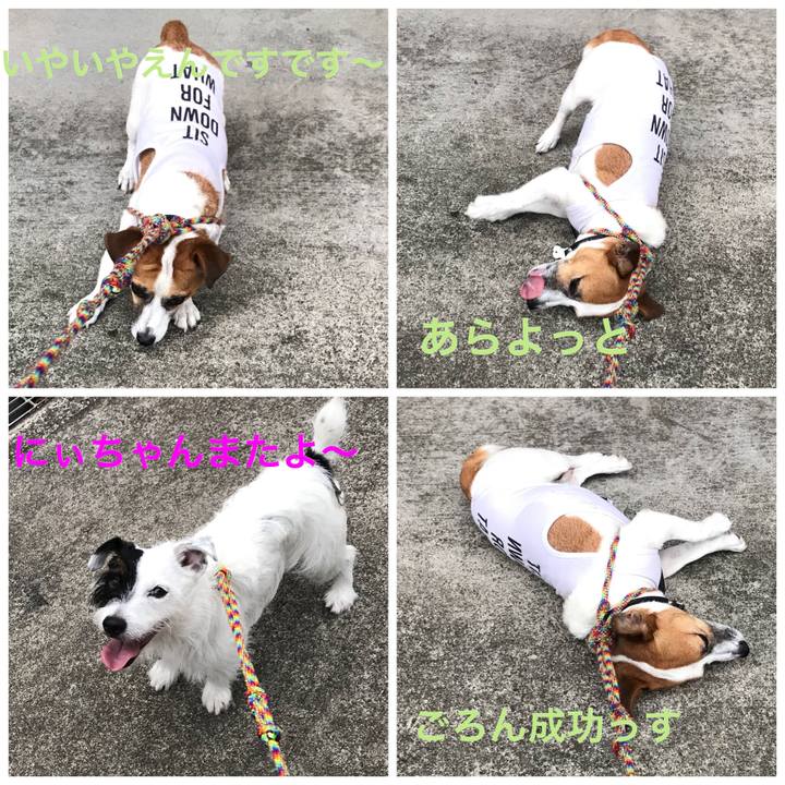 4f3f4c80 9196 4918 8643 a75e80133e2e 1535533963821