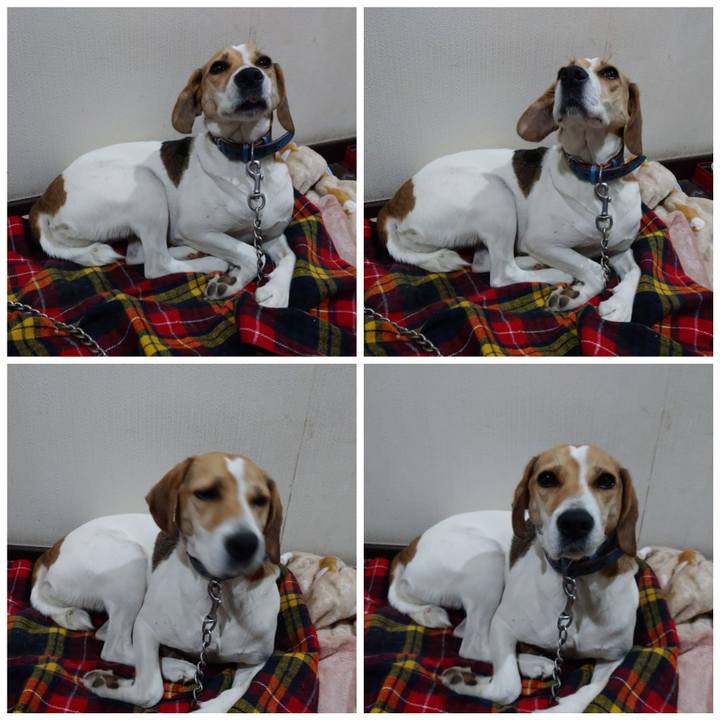 4f3f4e1c b402 4018 8422 da7eee28846a 1604824312960