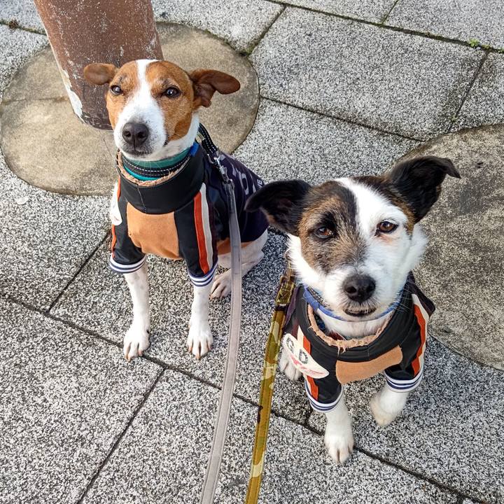 4f3f523f a118 453a 82d5 06d3faffbd28 1708903232463