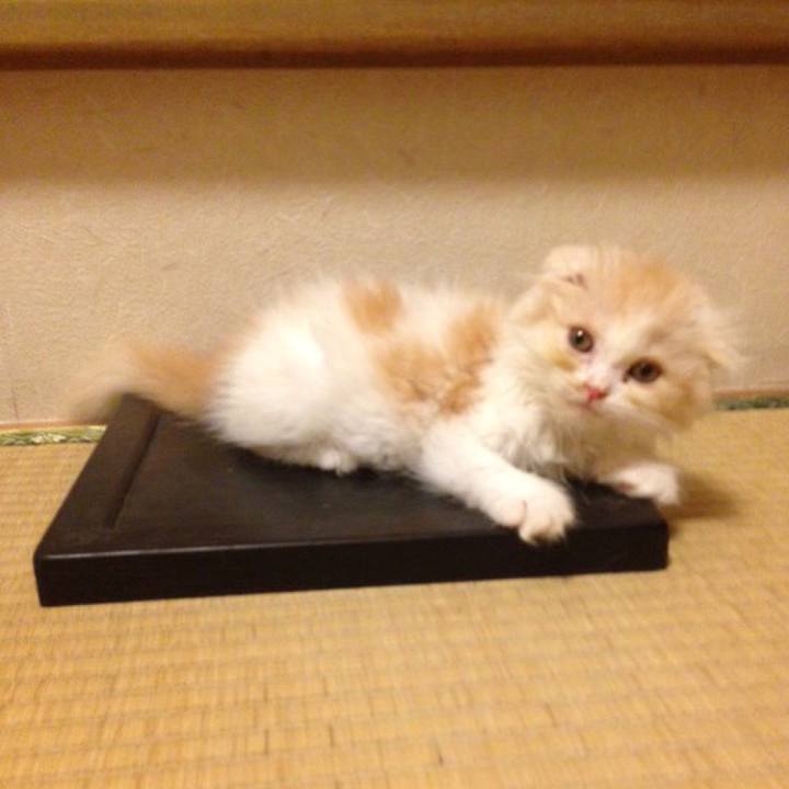 4f3f5a1c 8825 4166 9978 c875cea8ab79 1558529917166