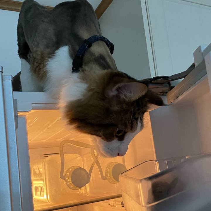 4f3f87de 7634 4d13 a416 fe6ad13582c2 1658784858767